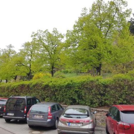 Old Town Apartment Pellicova Brno Luaran gambar