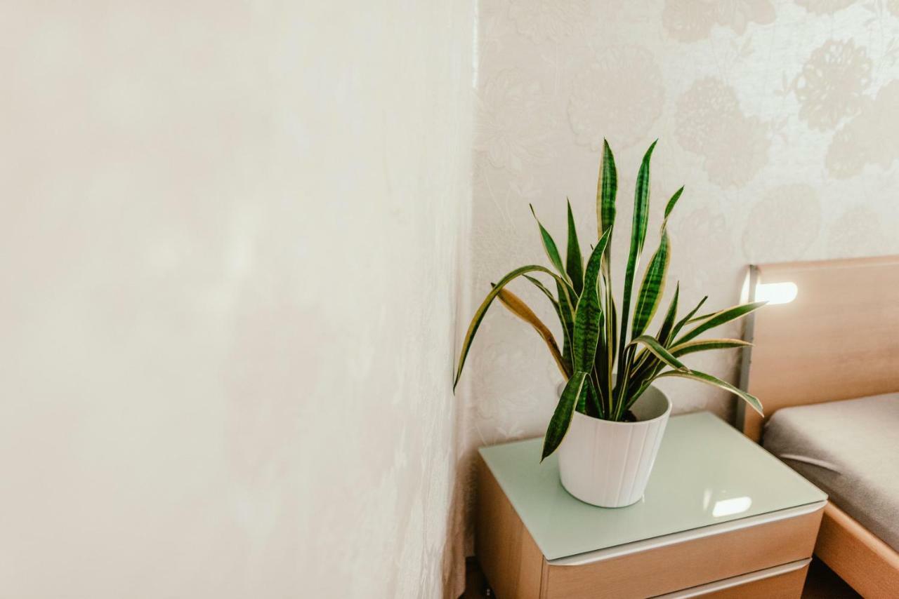 Old Town Apartment Pellicova Brno Luaran gambar