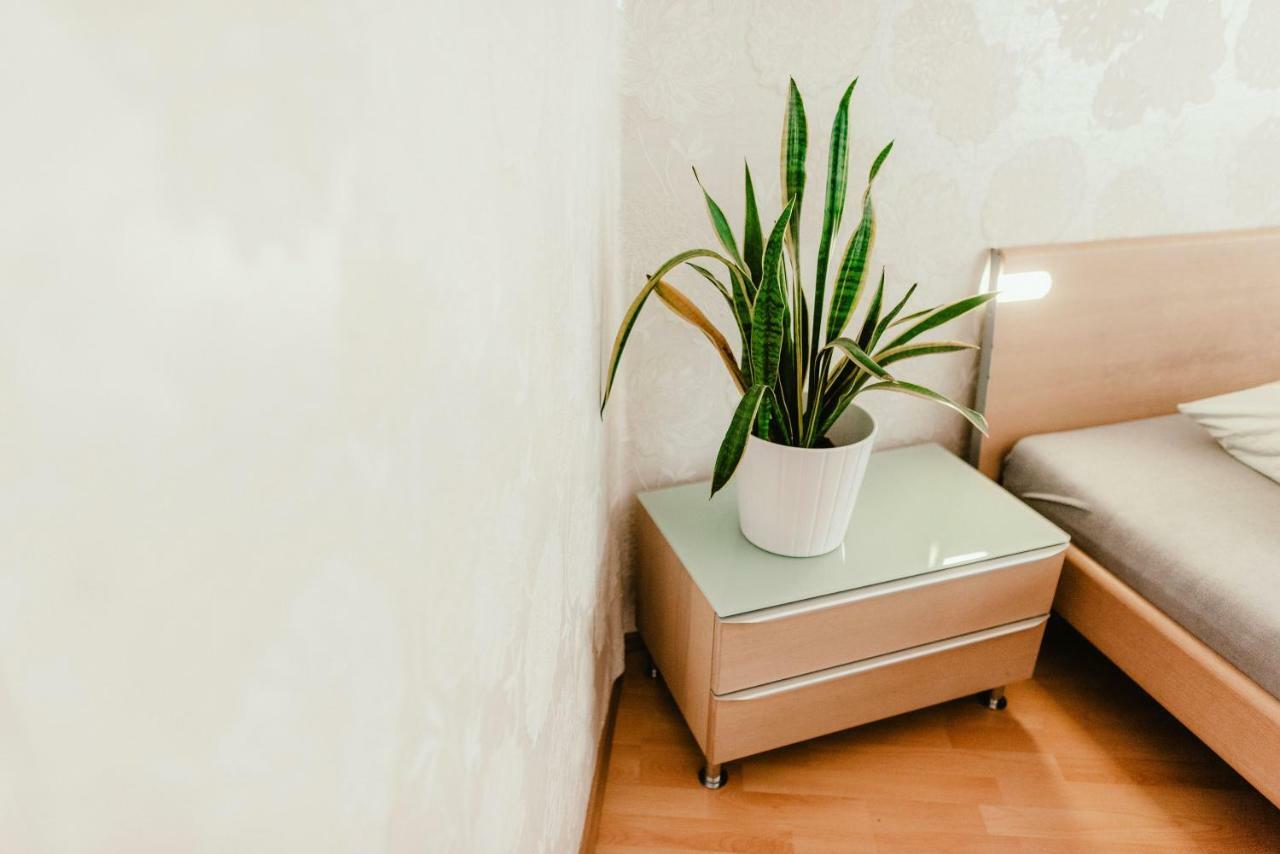 Old Town Apartment Pellicova Brno Luaran gambar